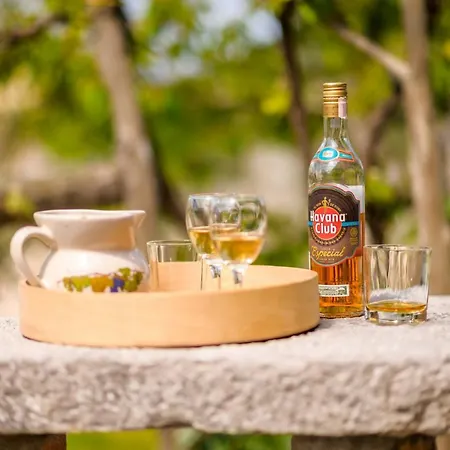 Betlehem & Nazaret On Krk Island Prázdninový dům Poljice(Krk)